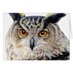 Face on portrait of an eagle owl everyday card