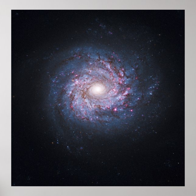 Face On Spiral Galaxy NGC 3982 from the Hubble Poster (Front)
