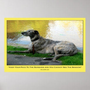 Face The Sunshine, print