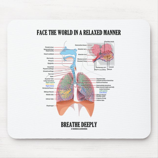 Face The World In A Relaxed Manner Breathe Deeply Mouse Mat (Front)