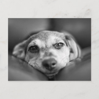 Face to Face Postcard