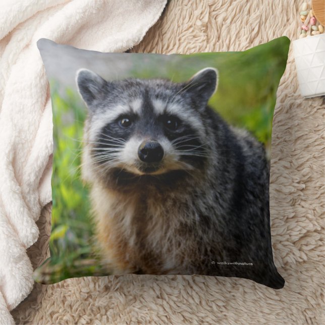 Face to Face with a North American Racoon Cushion (Blanket)