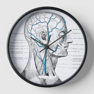 Face veins muscles vintage anatomy clock