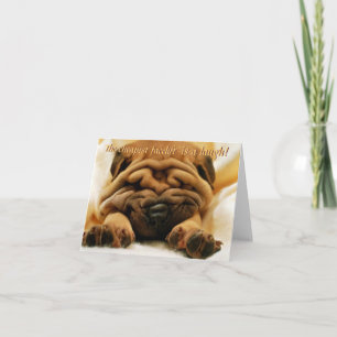 Facelift Shar-pei Card