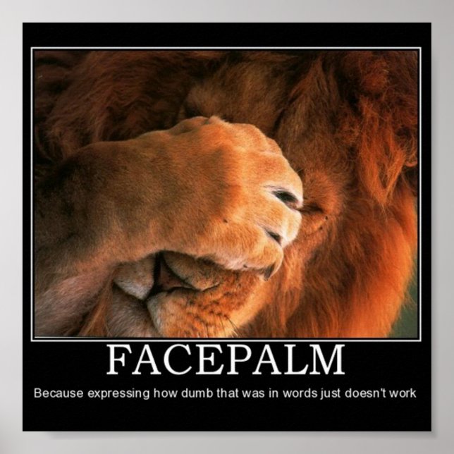 Facepalm Poster (Front)