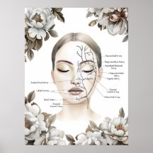 Facial Anatomy Blood Vessel Botox Decor