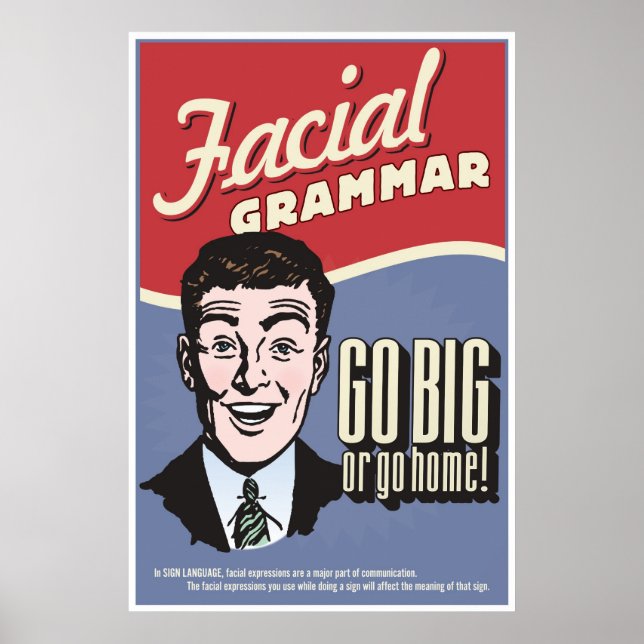 Facial Grammar. An ASL classroom poster. Poster (Front)
