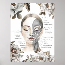 Facial Muscles Anatomy Art Massage Therapist Gift