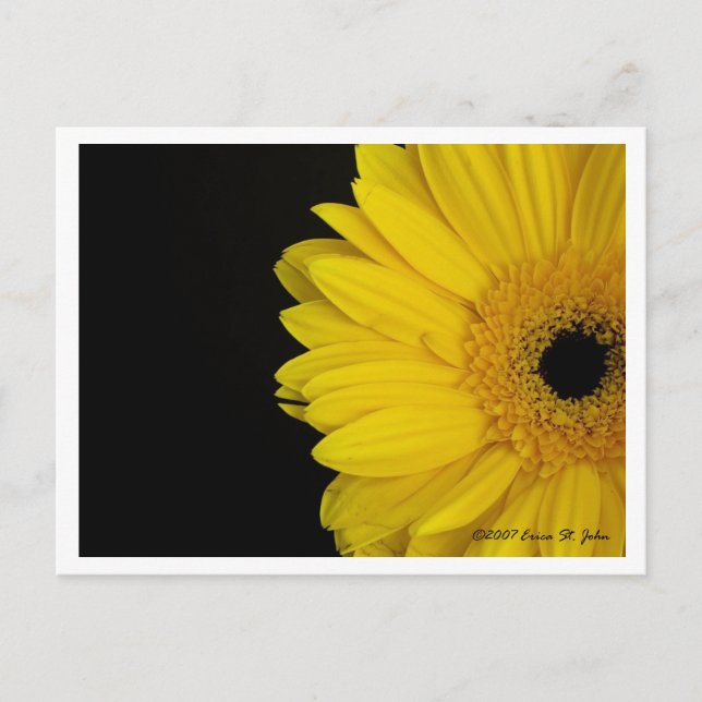 Facing Simpleness Postcard (Front)