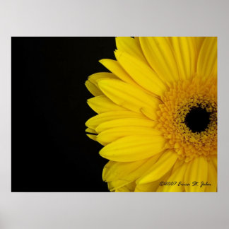 Facing Simpleness Poster