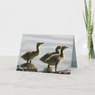 Facing the Light Card