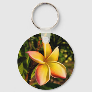 Facing the Sun Key Ring