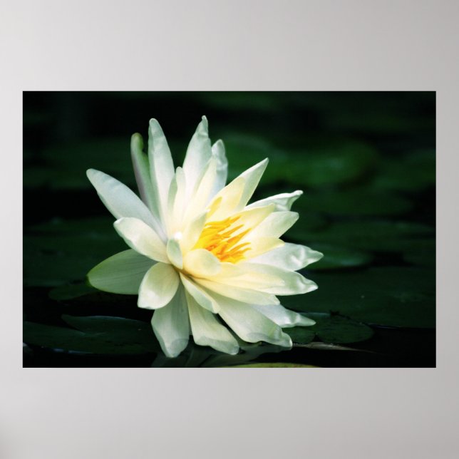 Facing the Sun Poster (Front)