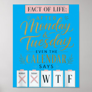 Fact Of Life Calendar Says What On Earth Humour Poster