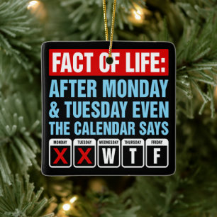 Fact of Life Calendar Says WTF Humour Ceramic Ornament