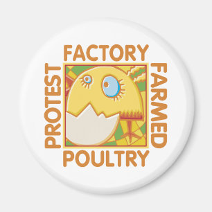 Factory Farm Animal Rights Magnet