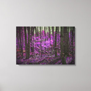 Faded Lavender Dreams Canvas Print