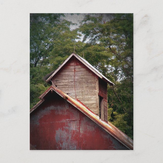 Faded Red Barn Cupola Postcard (Front)