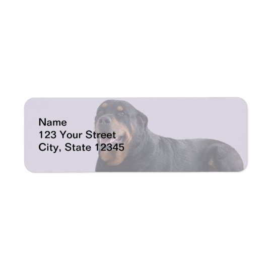 Faded Rottweiler Laying Down on Grey Return Address Label