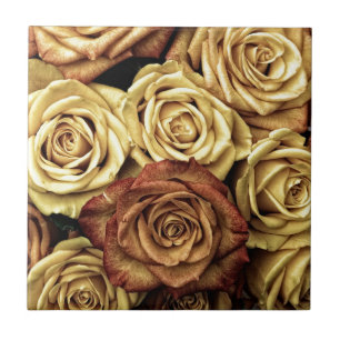 Faded Sepia Roses Tile