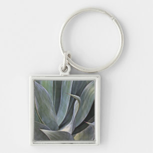 Faded Succulant Detail, 2017 Key Ring