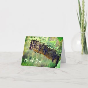 Faded Sunflower Floral Thank You Card