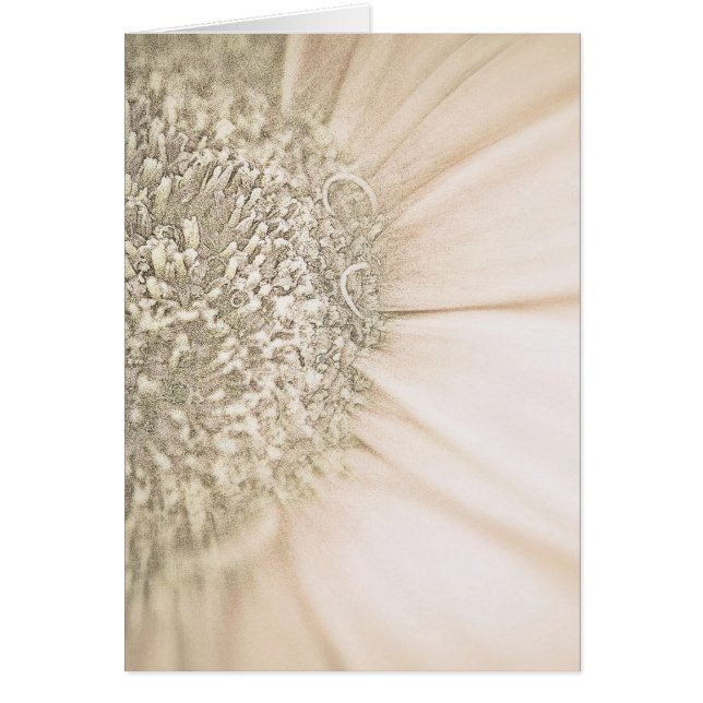 Fading into Gold (Front)