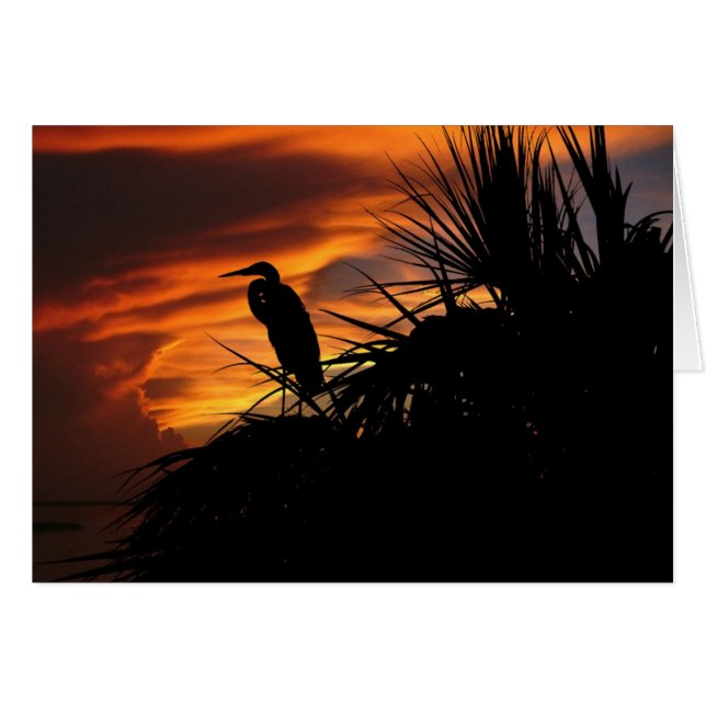 Fading Light (Front Horizontal)