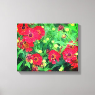 Fading Red Zinnia Flowers Canvas Print