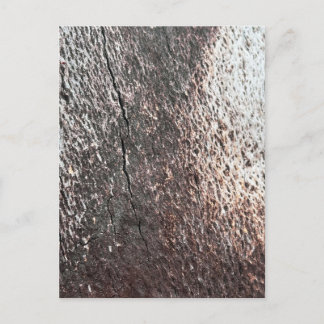 Fading Tree Bark Texture Postcard