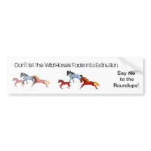 Fading Wild Horses Bumper Sticker
