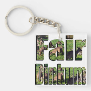 Fair Dinkum Aussie Slang Logo, Key Ring