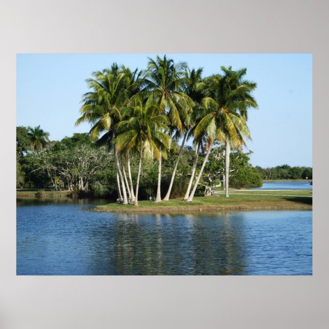Fairchild Tropical  Botanic Gardens Poster (Front)