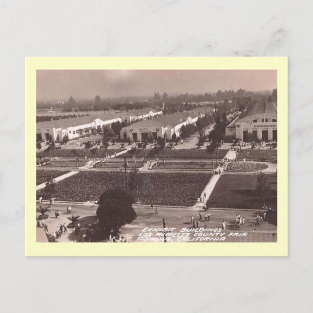 Fairgrounds, Los Angeles County California Vintage Postcard (Front)