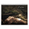 Fairies, A 2013 Calendar