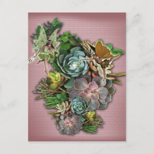 Fairies on a Succulent Display Postcard