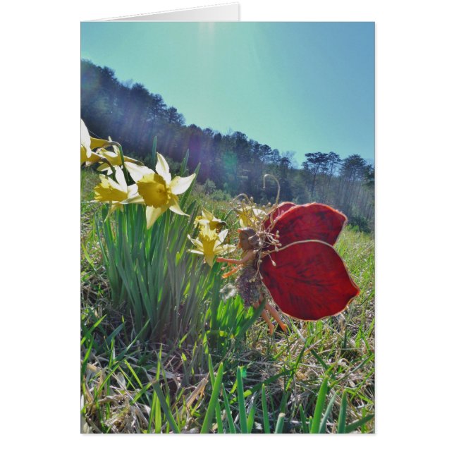 Fairy and yellow flowers (Front)
