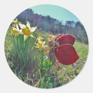 Fairy and yellow flowers classic round sticker