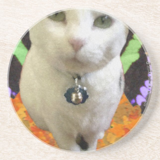 Fairy Cat Coaster (Front)