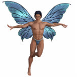Fairy Dance (Male) Standing Photo Sculpture<br><div class="desc">Dancing through the skies this male fairy dances through the skies showing off his prowess both physical and magical.</div>