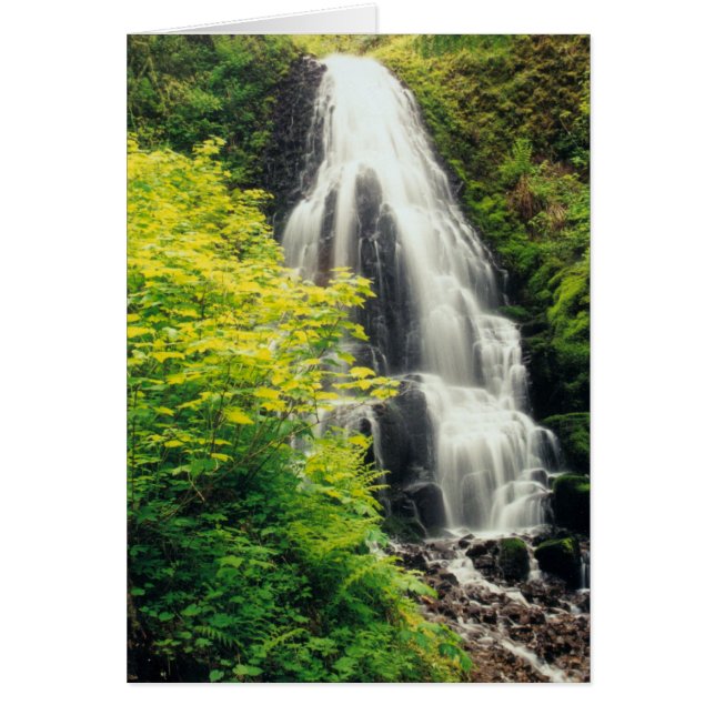 Fairy Falls (Front)