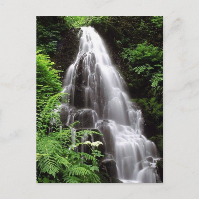 Fairy Falls Postcard (Front)