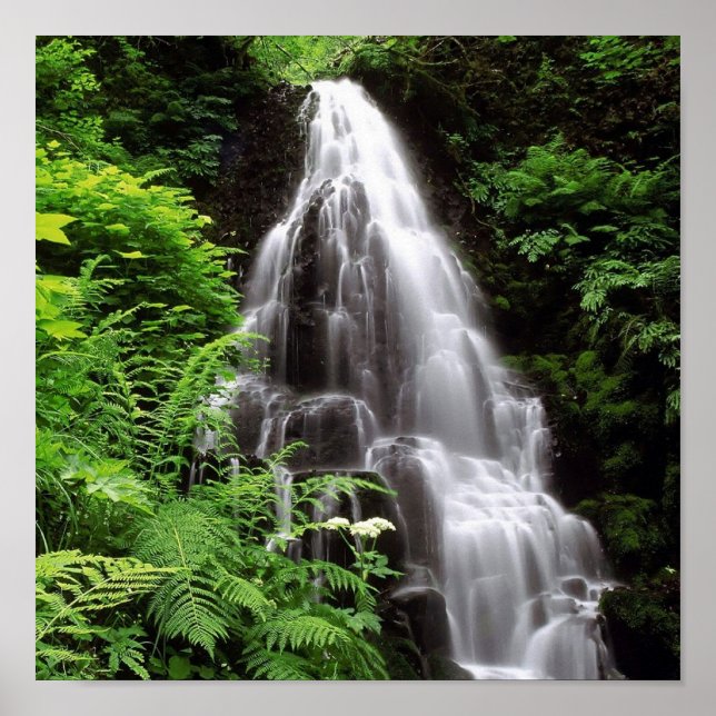 Fairy Falls Poster (Front)