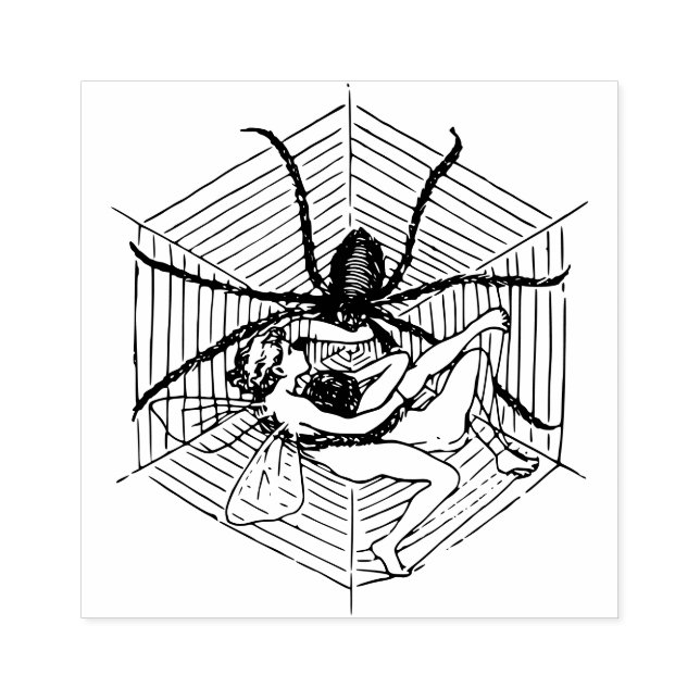 Fairy girl caught in a spiders web rubber stamp (Imprint)