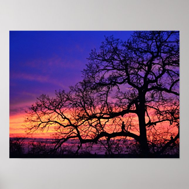 Fairy Girl Silhouetted Tree Sunset Poster (Front)