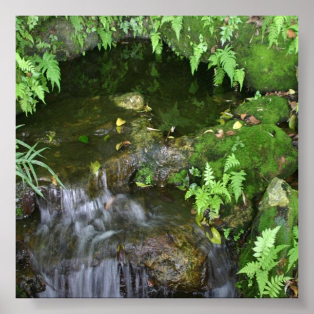 Fairy Hot Spot Photo Backdrop Poster (Front)