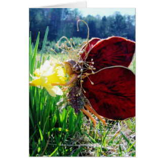 Fairy in the Daffodils