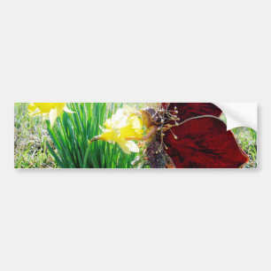 Fairy in the Daffodils Bumper Sticker