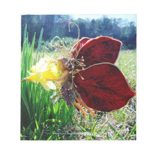 Fairy in the Daffodils Notepad