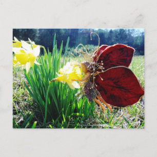 Fairy in the Daffodils Postcard